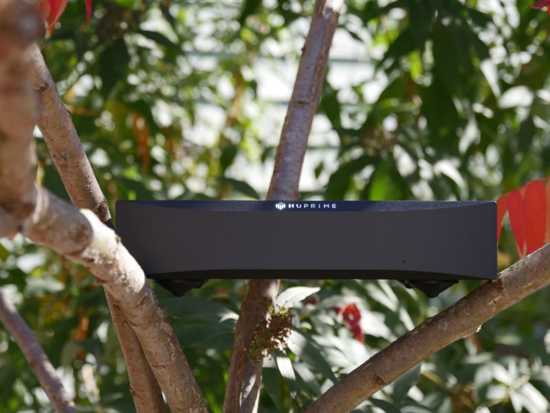 Nuprime SW9x Switch von vorne in Essigbaum